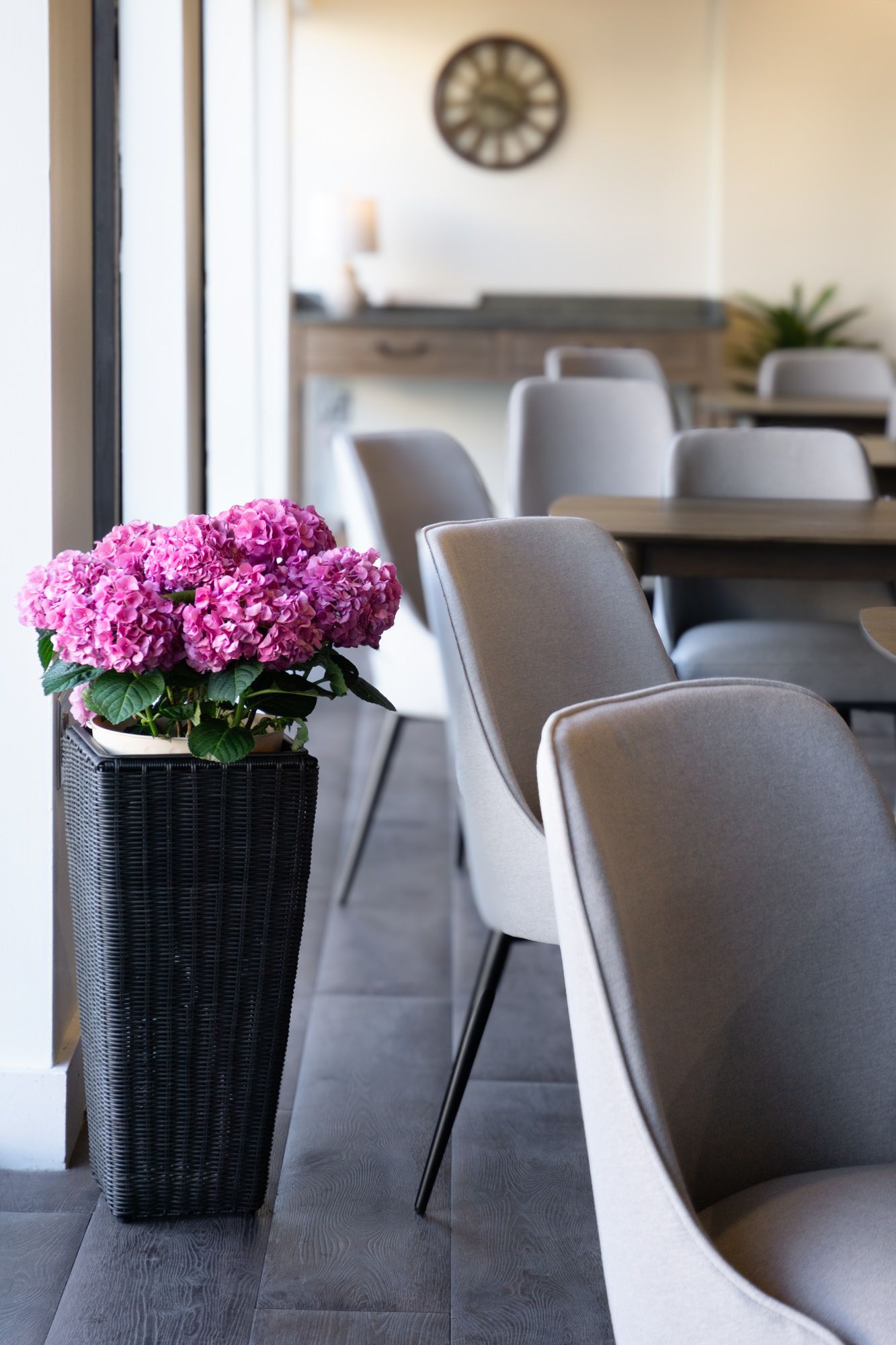 Fresh pink hydrangeas beside light-gray meeting chairs and wood tables